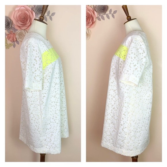 New! ELIZABETH & JAMES Chelle Flocked Shift Dress - Picture 9 of 12